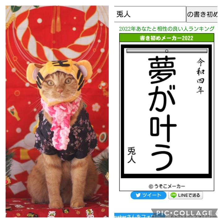 6b10e863 4755 46ea b655 8a73da0fe56b 1641114253338