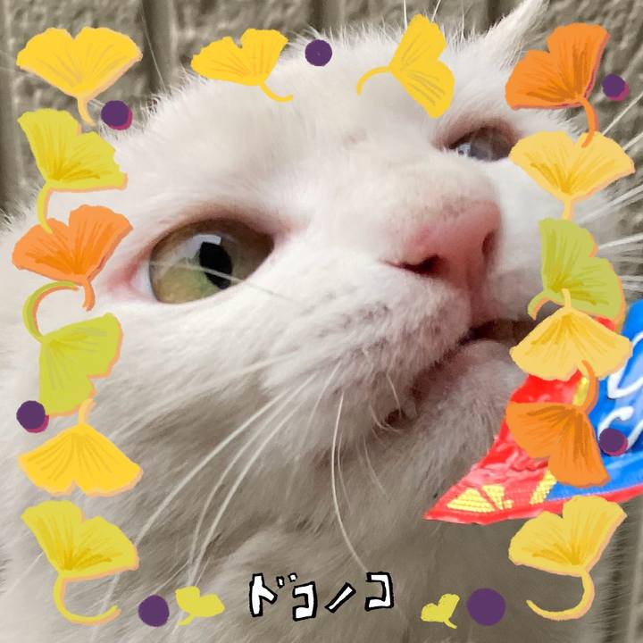 6b114d68 f445 4d7a 94ee b20cac9e8eb0 1729053834662