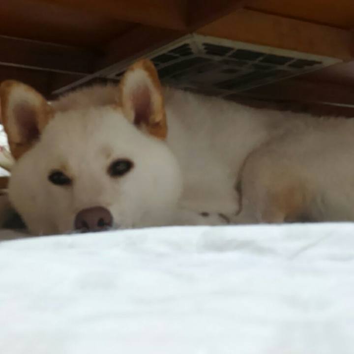 6b11b77d 290a 47aa a5a4 f0c5e916c03c 1532258538058