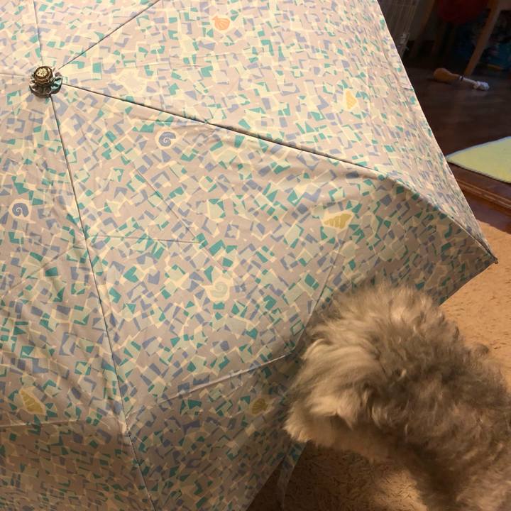 6b11cc7d ccd2 41d0 9d01 fd6088e5fe65 1625008826260