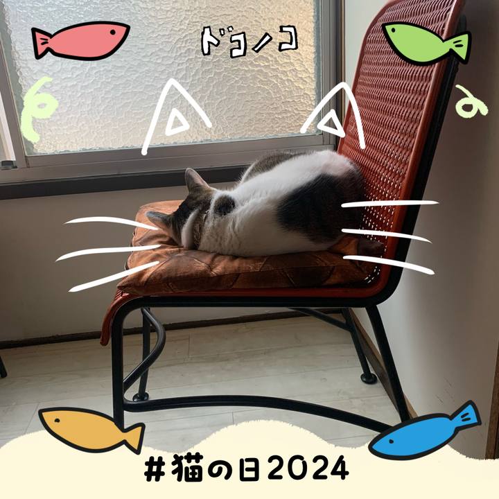 6b12185b ece5 4660 85e3 339905e5aba6 1708529559295