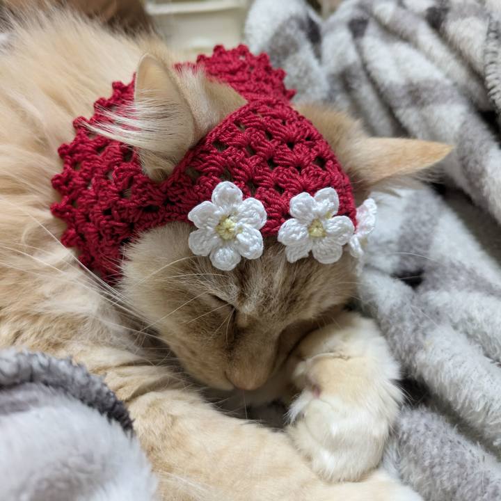 6b123e42 1d9f 4d89 83b2 52c251a9568d 1773592313613