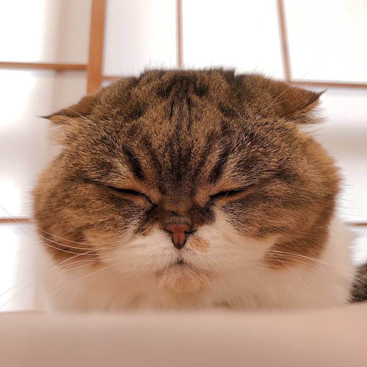 6b12555a dfb8 4152 a814 446e73979b03 1622260426129