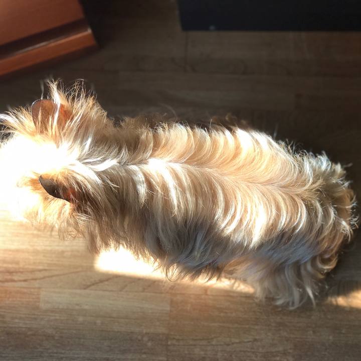 6b125aba 11dc 4b53 b92b ffd72900b68c 1558654507093