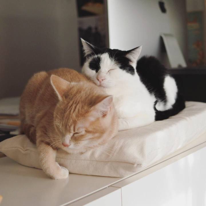 6b12606d 10b6 48d9 8f83 389d9012ffe3 1550231597984