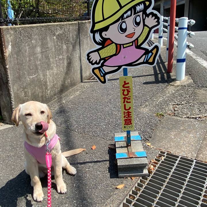 6b12914b 19f2 4eb1 b0ed 1e5666c48c27 1617767911807