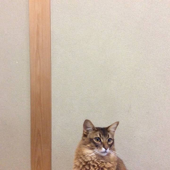 6b129aa0 45d2 4c05 936f 81ff3fc0f900 1618624499188