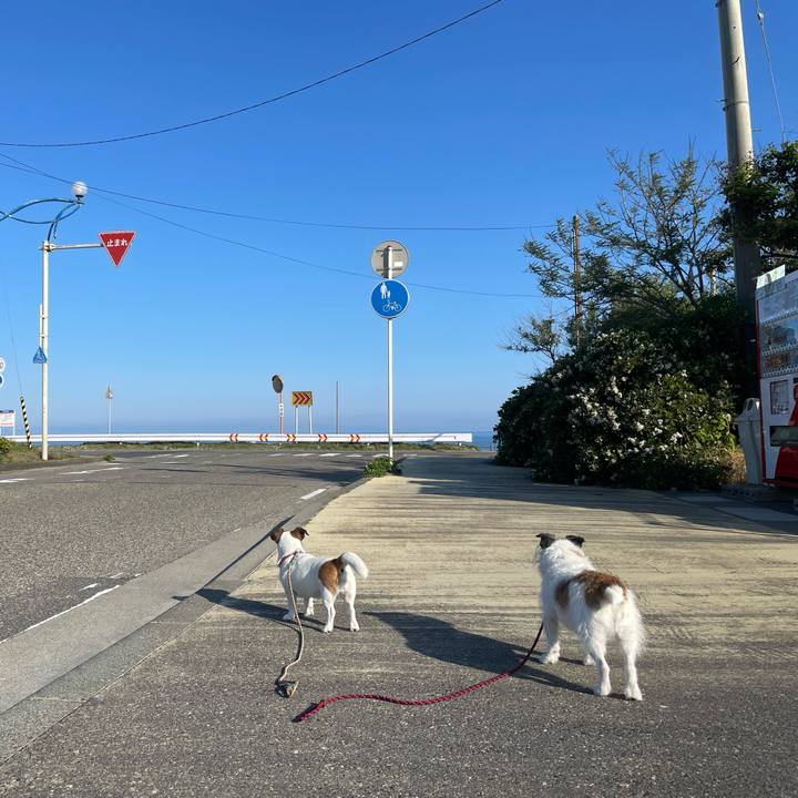 6b12db05 1add 465b 9acb 82ab90a07c4c 1716331009015