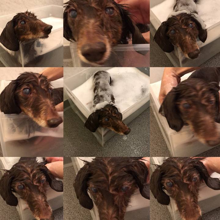 6b12f073 2bcf 4e31 a77e 8d16b441ae35 1518316996378