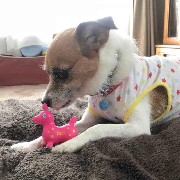 6b13119a 6673 4a18 a897 84bd3d42549c 1533429188590