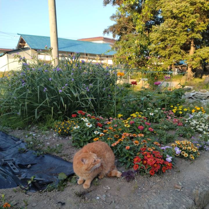 6b131e37 9d70 4142 b939 bc474f31df92 1718834973904