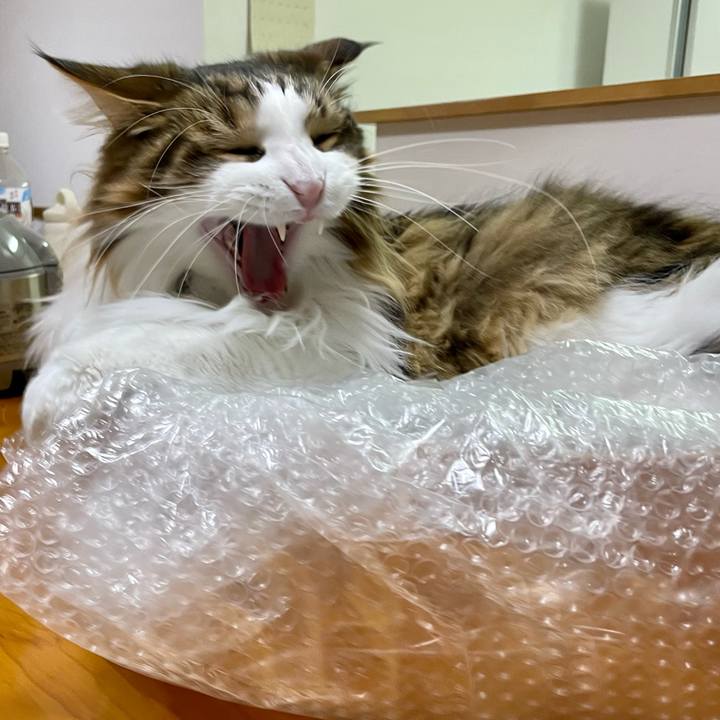 6b13636c e574 40d9 add0 20318c1257d8 1674040374154