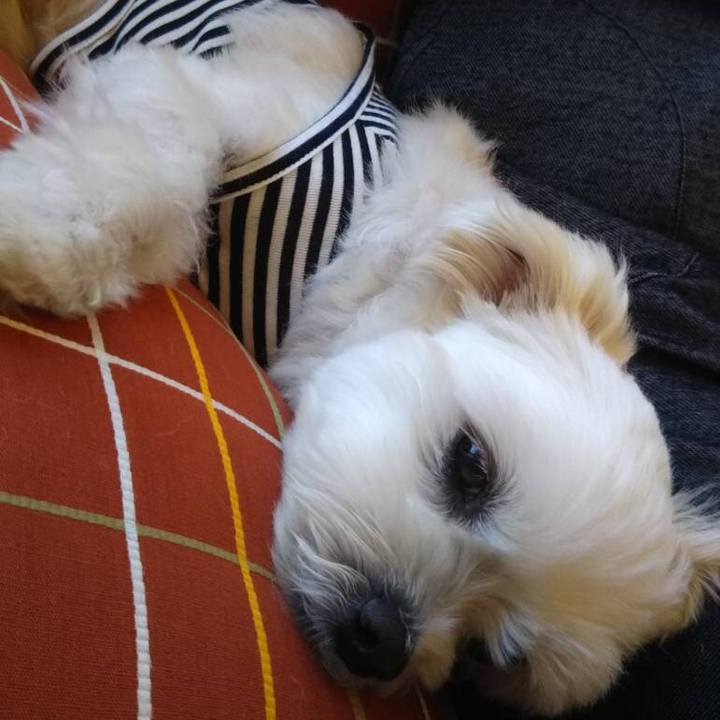 6b1375d6 e3a0 4a58 be3d 2471a27731da 1540553555684