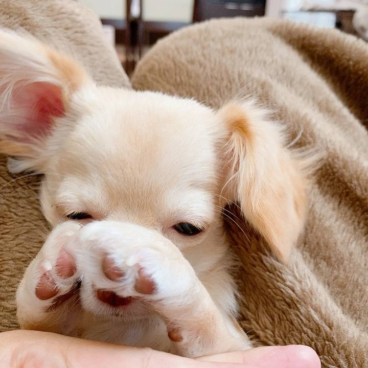 6b137d64 fcbd 41b2 b956 78ca2232aad3 1597408882982