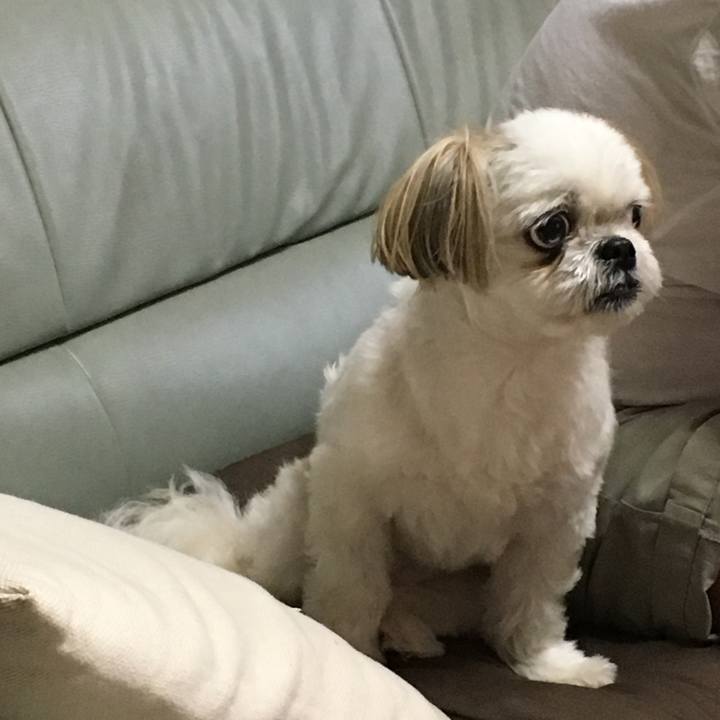 6b13aa7a 07d9 4fdb a0e8 8d40e85cc463 1565860046683