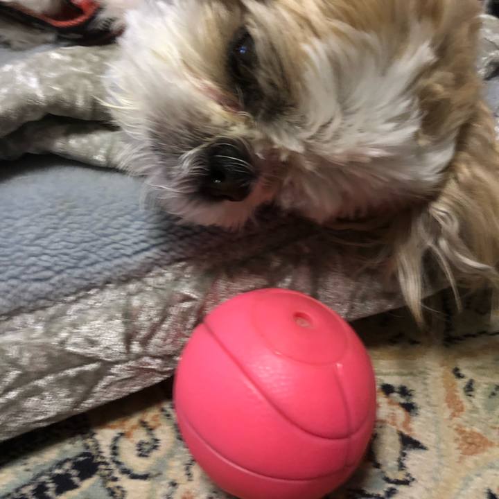 6b13f926 5e28 464a a897 b6f73b5ad5e7 1619560627938