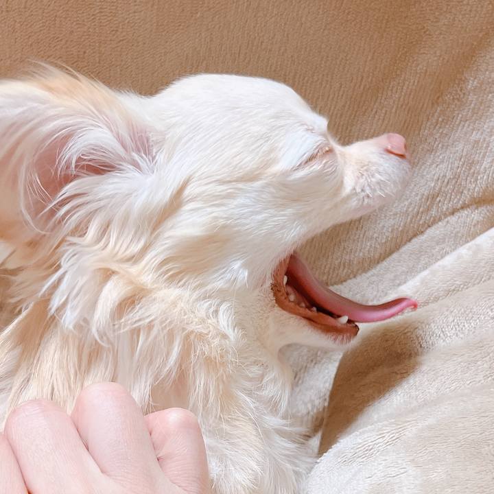 6b14188a f885 4b1e a5df 44719a9908e2 1676196734982