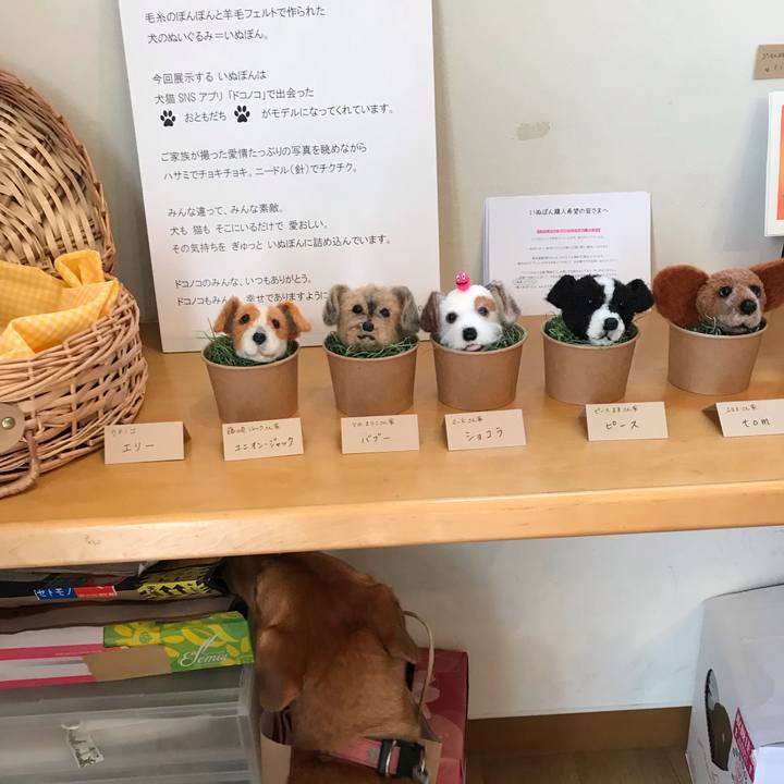 6b144552 965e 4dfe b6c8 e12b1546a21c 1540014456344