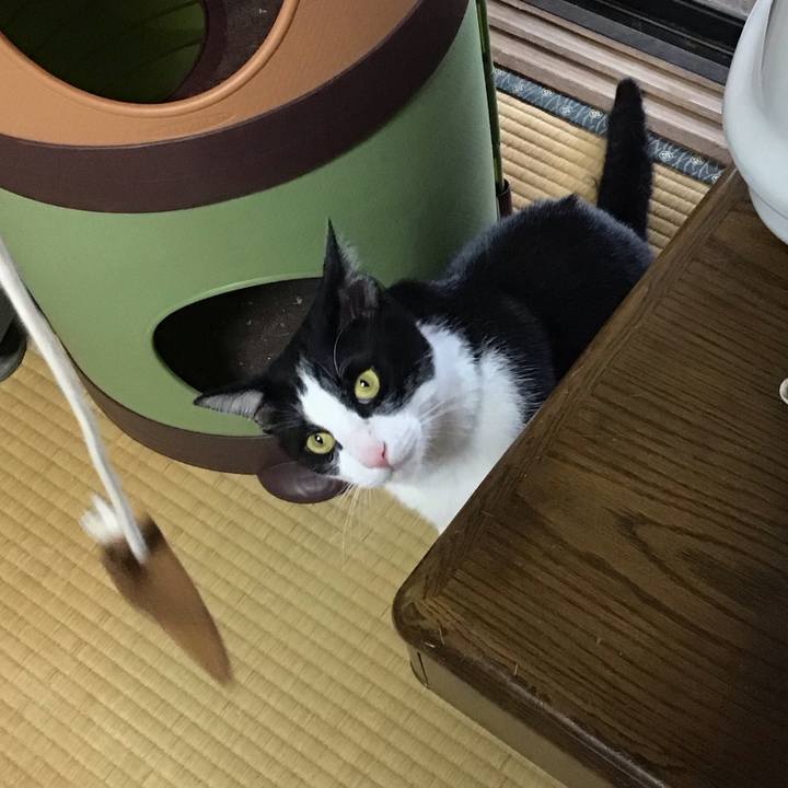 6b1491bc 8f5a 4ca7 b036 796f3e928e8d 1686737537002