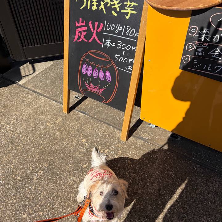 6b14ad83 d68e 42e1 8b4d 8df585b5da3c 1763957555522