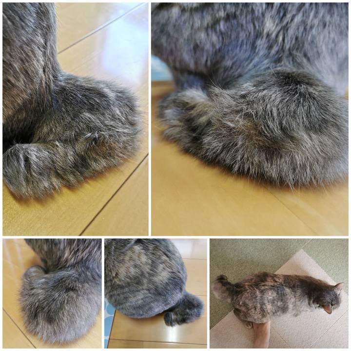 6b14b9c3 274a 4d84 ba7f a6e49666fcb9 1659585087149