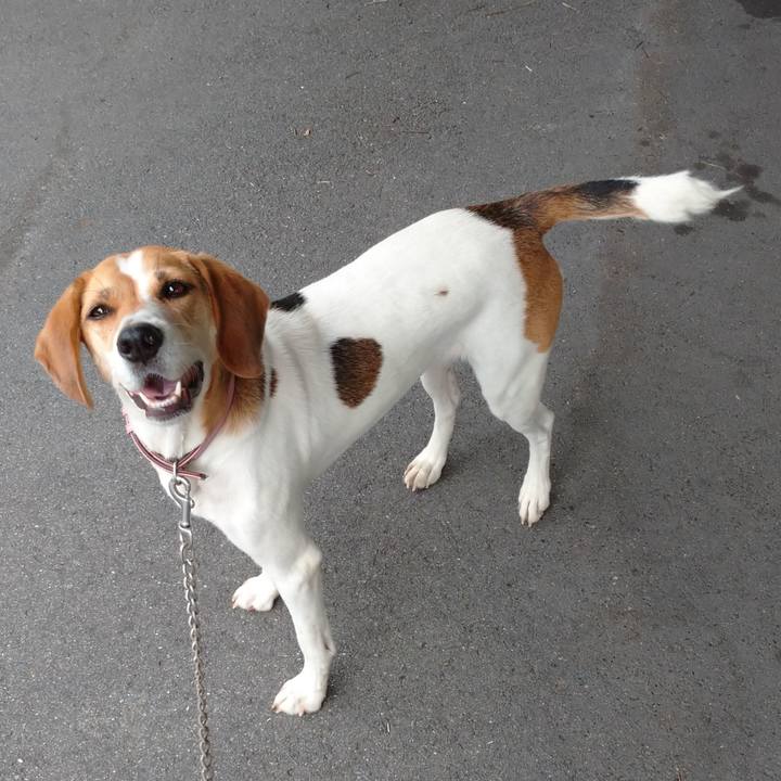 6b14cdb7 1df6 4f2f bb96 d52028288715 1596624750302