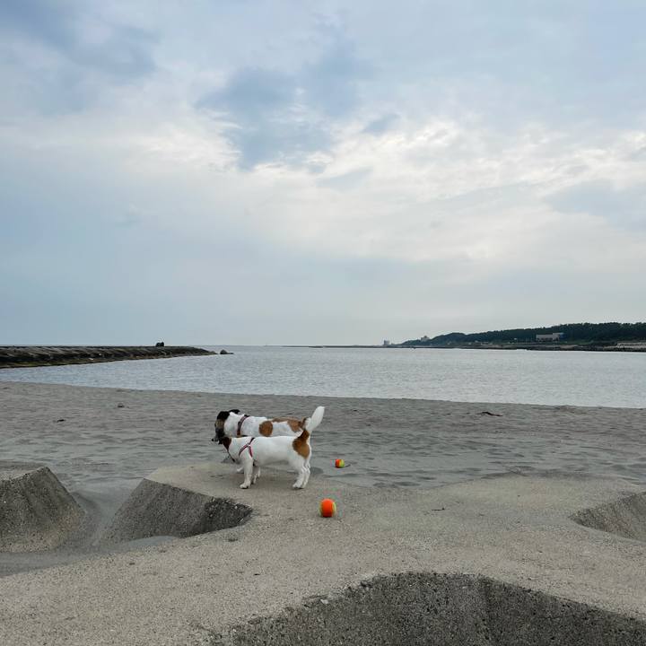 6b14da76 9150 4302 b721 ea153df40d01 1623111008365