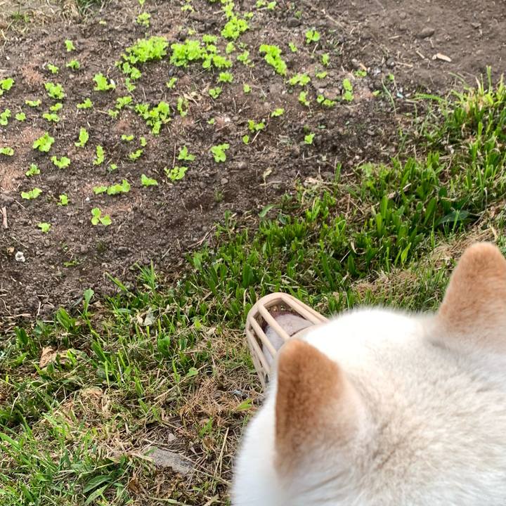 6b14dd9f 3d1c 40e7 a09d 3b164b60cec3 1652906652255