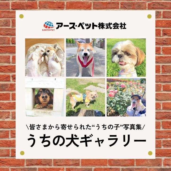 6b14ef9c d341 430d 97d6 a67d16e6e78f 1717750525547