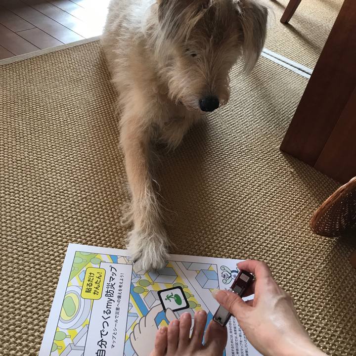 6b14fc40 d5d2 448b b53b 25b6a53b1705 1569554183172