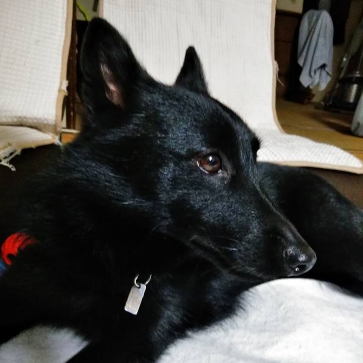 6b151909 fecc 4f1f b3be beed1207b283 1571819160445