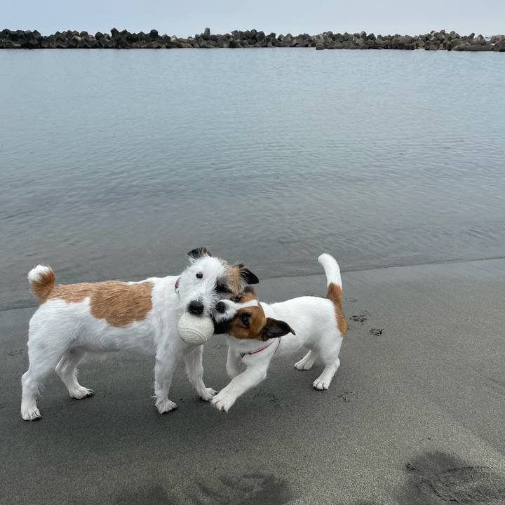 6b154066 f6cd 4d0b 818c 0de74f427980 1623021733329