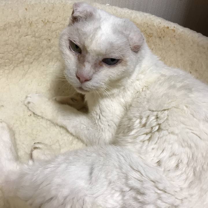 6b1542b8 101b 4b0e 8adc fd87537ce96d 1530363576684