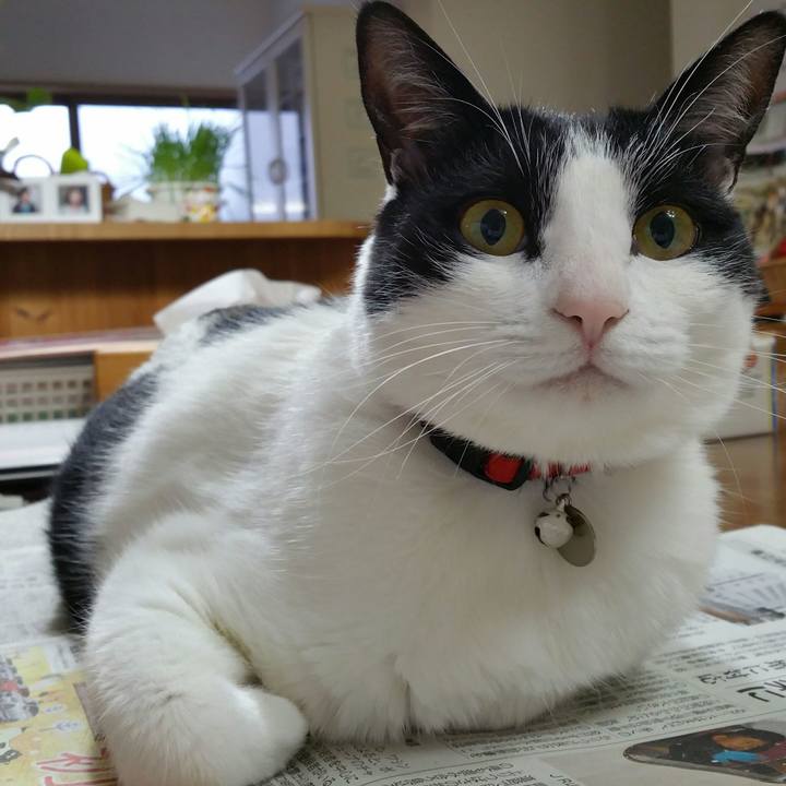 6b15794f b786 4380 bc89 b2a1c4814d6d 1515020422394