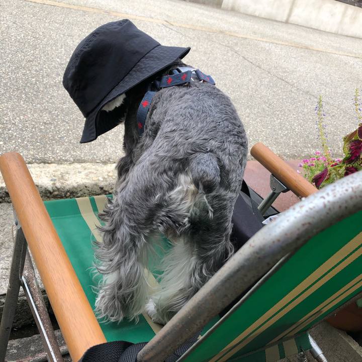 6b159c74 4f31 482b ab08 cf29f59b78e8 1630991248175