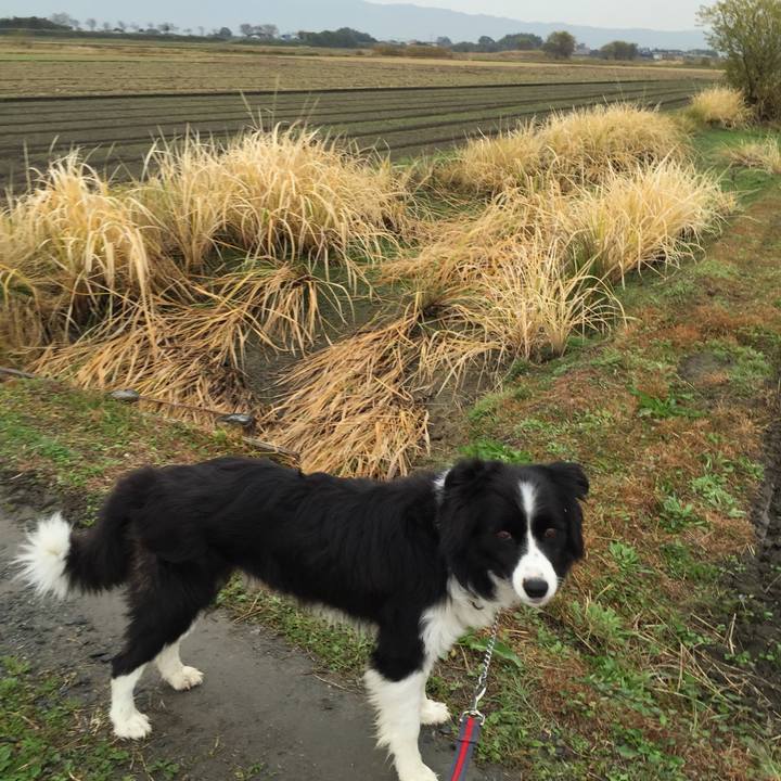 6b15bea0 487c 45b0 a5c3 a4d91fbd15c4 1543361099515