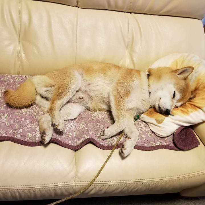 6b15c95c 589e 4371 bbc2 1a61b2a45a5a 1594683518410