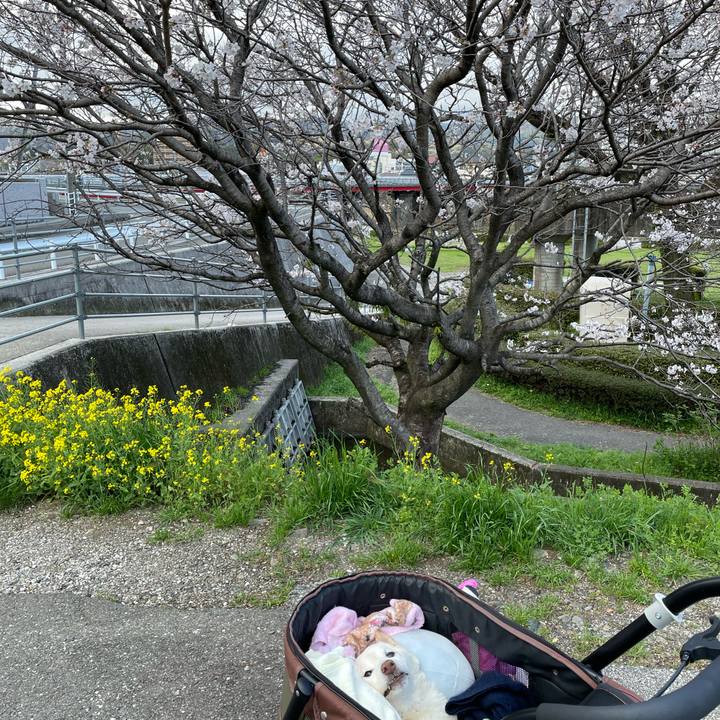 6b15d465 4890 47ff 85f4 52ee78d0fb24 1679651979751