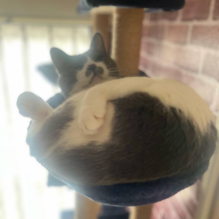 6b161a91 f49c 4f6c 8abb 70437b3fddd0 1709693520938