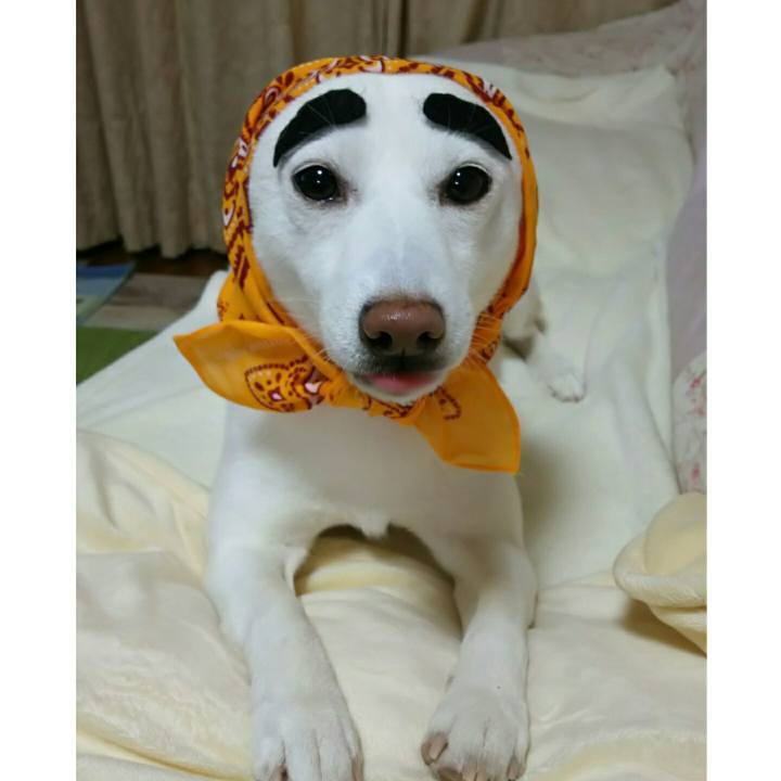 6b16356b ec48 48d1 9181 a2baa5ce504f 1541933177633