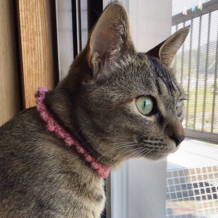 6b165bbf 0602 4283 8e4b 59bda6e565b7 1588230129968