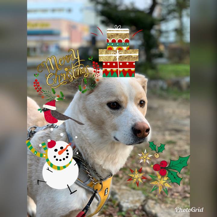 6b16a915 7807 43a4 9950 d75b2c5573e5 1577229764714