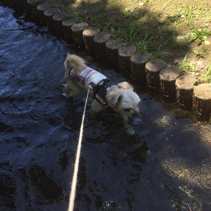 6b16b701 310a 4047 a96f a3c03f0d08dd 1560752899537