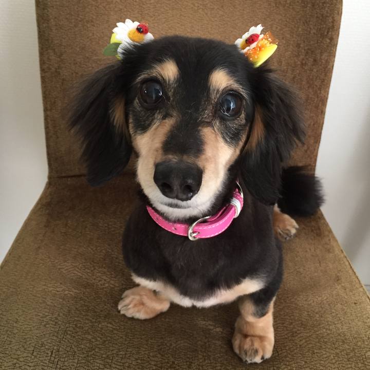 6b16c042 8a85 4dd6 9483 810a49ef787e 1589770311494