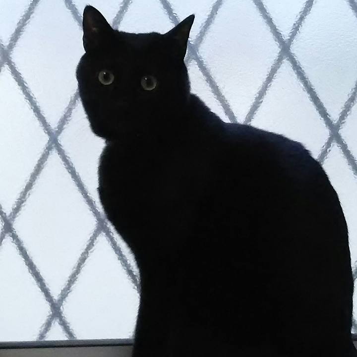 6b16ccc8 c84a 4896 a1e6 da08a417129d 1522063322522