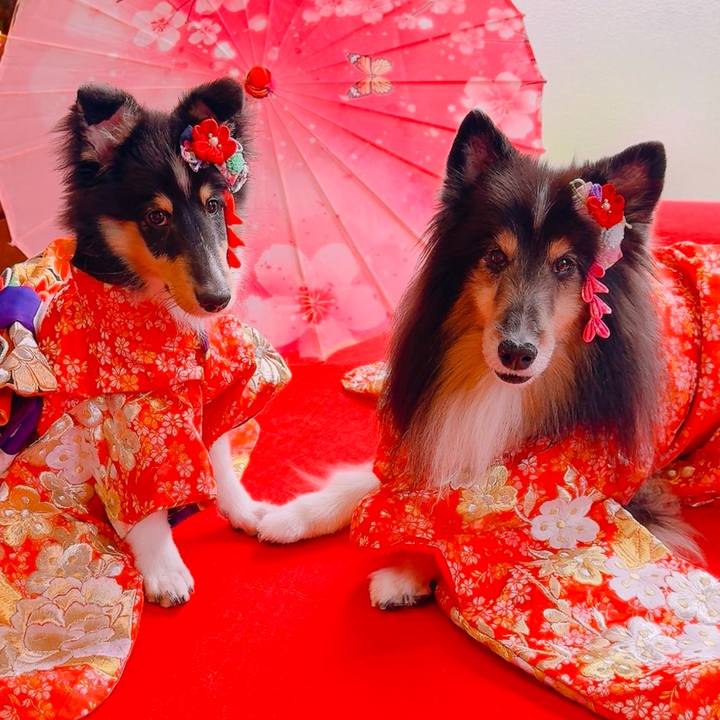 6b171fc2 af7a 40c2 8ff5 4bb78d9b36ee 1735663014788