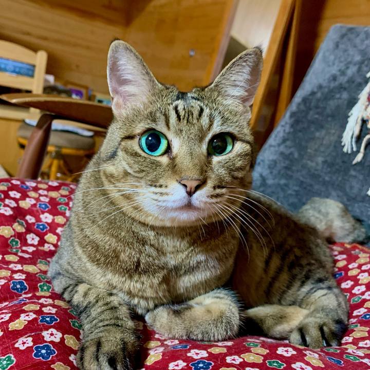 6b173c1f d3c6 450a 82db 4e3b62dd3f06 1633443064200