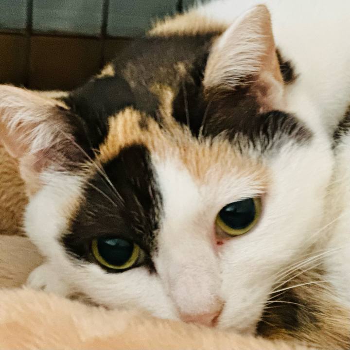 6b174667 3097 47df a057 2ae466ba39e4 1707532300847