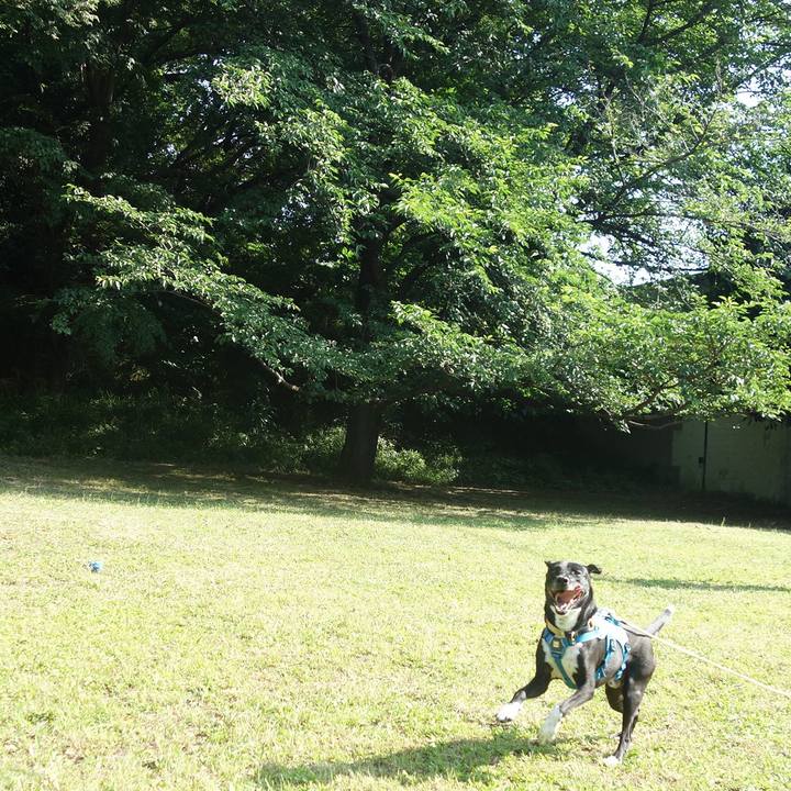 6b17513c bd34 413e 91a3 034e5773cf60 1623370837713