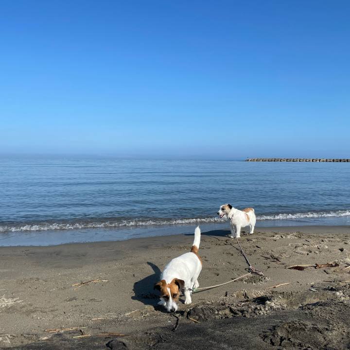 6b1769bc 95ce 4689 8be7 c3de04c827c2 1684537971002